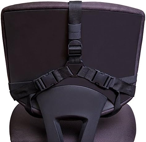 FOMI Firm Gel Foam Back Support (14" x 15") Care | Upper Lower Thoracic and Lumbar Support for Car, Home, Office Chair | Promotes Healthy Posture, Sciatica Pain Relief