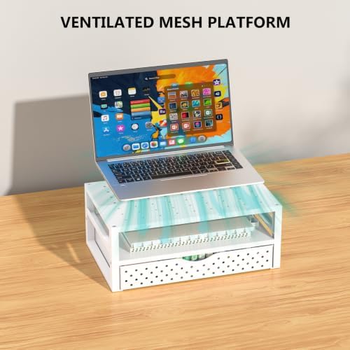 WALI Desk Organizer with Drawer，Computer Monitor Stand with Storage, Desk Organizers and Accessories for Computer, Printer, Laptop Riser for Home Office Supplies, (PTT005-W), 1 Pack, White