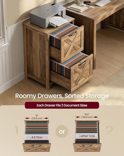 VASAGLE File Cabinet, 2-Drawer Filing Cabinet for Home Office