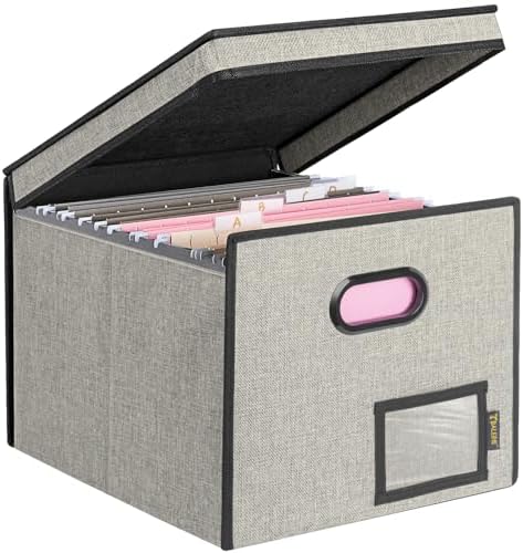 BALEINE File Organizer Box with Lid, Collapsible Hanging File Storage Box