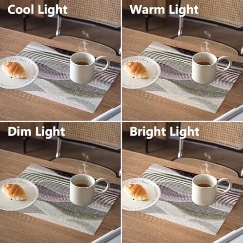 Monochromatic Abstract Linen Placemats, Halftone Effect Minimalist Art Table Mats for Table Washable Heat Insulation Thick Dining Mat, Indoor/Outdoor 12X18 in 4 Pcs