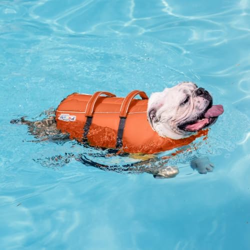 Outward Hound Granby Splash Dog Life Jacket, Life Vest, Orange, X-Small