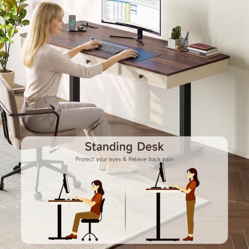 ONBRILL 63" Electric Standing Desk with 3 Drawers, Home Office Desk, Walnut