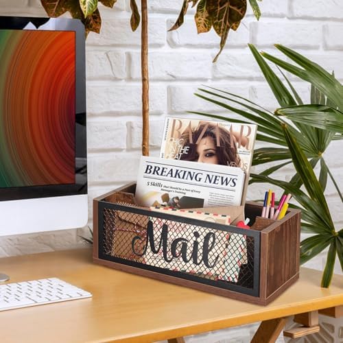 Mail Organizer Mail Holder with 2 Slots