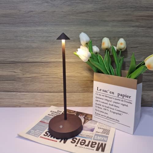 2 PACK Cordless Lamps,Battery Rechargeable Table Lamp,Portable Lamps,2 Level Brightness Dimmable Night Light,Minimalist Design,Cordless Table Lamps for Living Room/Restaurant/Couple Dinner(Rust)