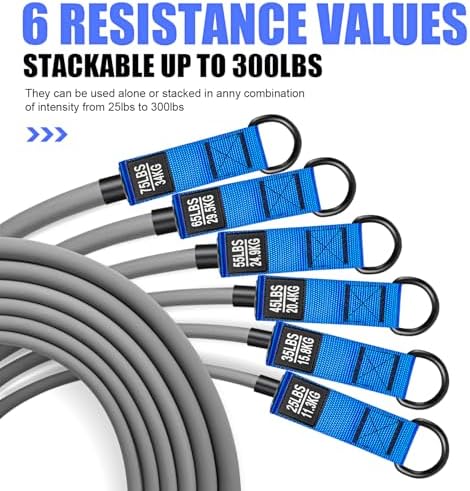 HPYGN Heavy Resistance Bands, 300LBS Exercise Bands for Working Out, Fitness Bands with Handles, Workout Bands for Men, Weight Bands Set for Muscle Training, Strength, Slim, Yoga, Home Gym Equipment