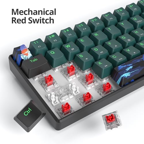 Owpkeenthy 60% Wired Mechanical Keyboard