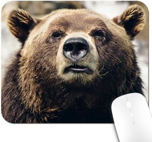 9.5x7.9 Inch Office/Gaming Mouse Pad, Intense Gaze of a Brown Bear Cute Anti-Slip Mat for Desk