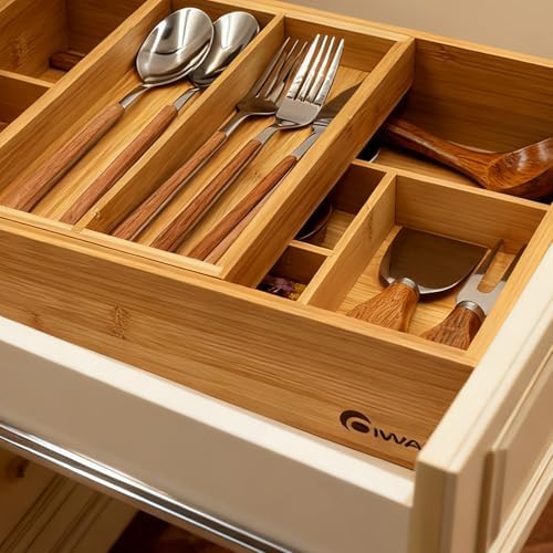 COIWAI 2-Tier Kitchen Utensil Silverware Drawer Organizer cutlery Silverware Tray Utensil Hoder,Bathroom dressing table Makeup drawer organizer box tool Stationery Cosmetics Storage Box