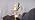 Stargazer Lily Flowers Crystal Table Lamp, Rechargeable Touch Night Lamp