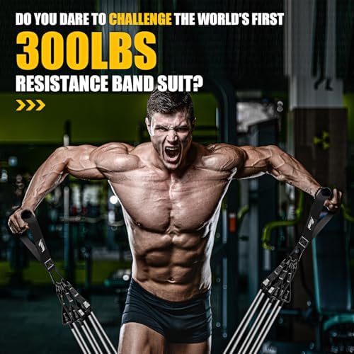 HPYGN Heavy Resistance Bands, 300LBS Exercise Bands for Working Out, Fitness Bands with Handles, Workout Bands for Men, Weight Bands Set for Muscle Training, Strength, Slim, Yoga, Home Gym Equipment