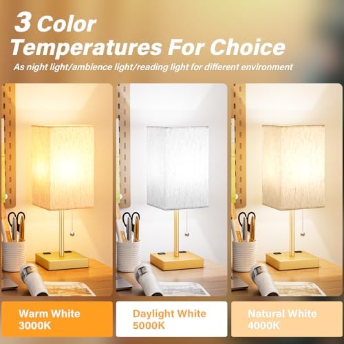 Gold Bedside Lamp for Bedroom - 3 Color Temperatures, USB A+C, 2 AC Outlets