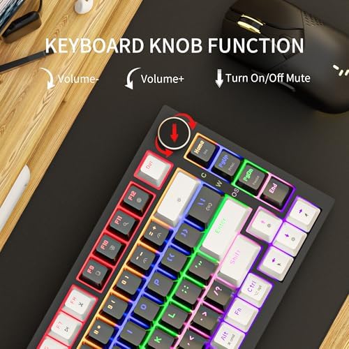 Newmen GM326 Mechanical Keyboard,75% Percent Gaming Keyboard,Wired Keyboard