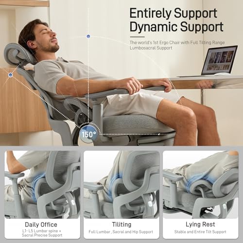 FLOW360 Ergonomic Mesh Office Chair with Footrest, Big&Tall Chair Gray FM