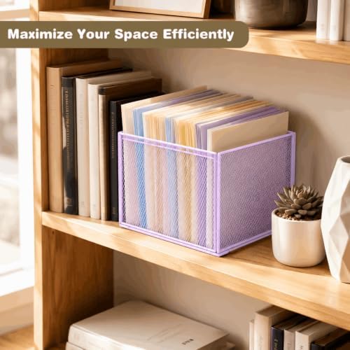 LEKETREE Mesh Hanging File Organizer Box for Desk, Purple 1 Pack