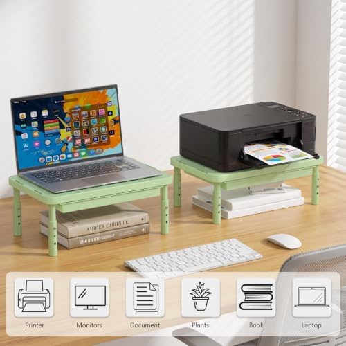 WALI 3 Height Adjustable Computer Monitor Stand with Storage, up to 44 lbs