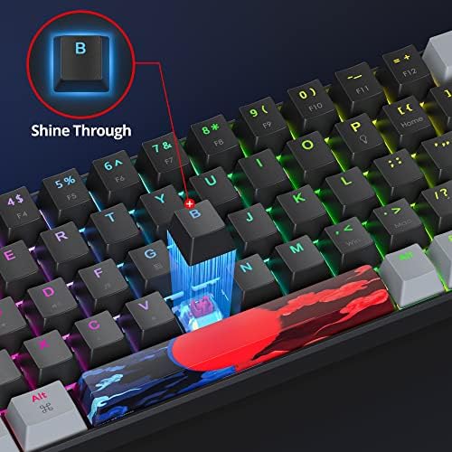 Owpkeenthy Portable 65% Percent Mechanical Gaming Keyboard, Mini Wired Ultra Compact RGB 68 Keys Office Keyboard with Red Switch Backlit for PC/PS5/XBOX(Dark/ 68 Red Switch)