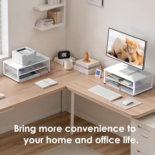 ECOLOVI 2-Tier Computer Monitor Stand Riser, Printer & Laptop Stand, Office Desk Accessories, Workspace Desk Organizer for Home Office Supplies, White
