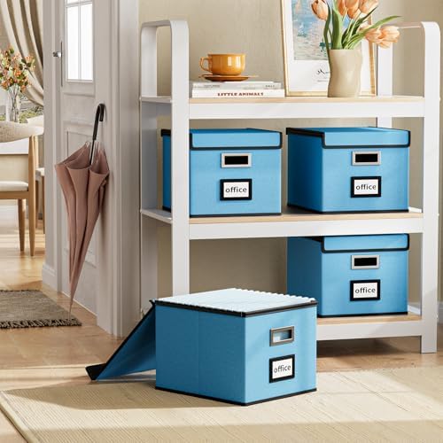 File Organizer Box with Lids, Collapsible File Folder Organizer