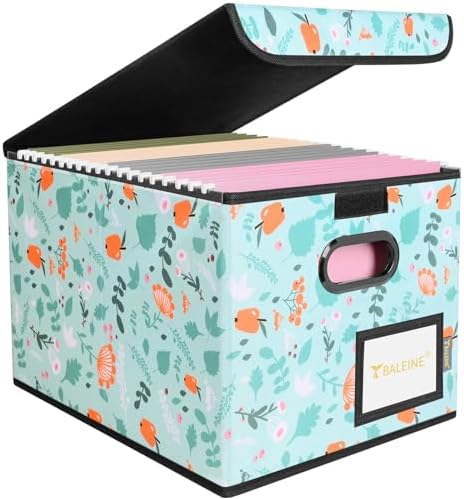 BALEINE File Organizer Box with Lid, Collapsible Hanging File Storage Box