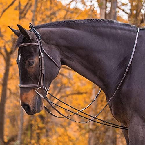 Dura-Tech Heavy Neck Stretcher | for Progressive Horse Training | Builds Pressure Resistance | Durable Elastic & Hardware | Padded for Comfort