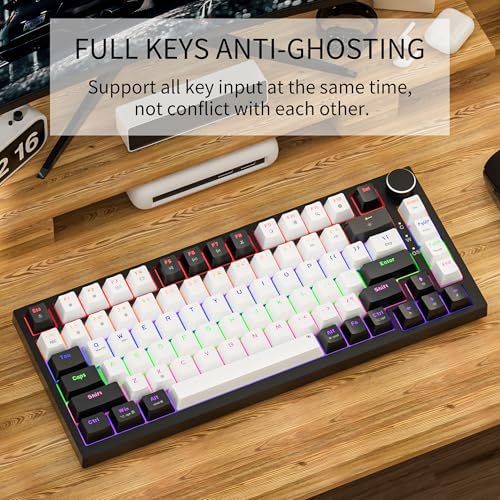 Newmen GM326 Mechanical Keyboard,75% Percent Gaming Keyboard,Wired Keyboard