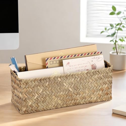 BTSKY 2 Slots Mail Organizer Countertop, Seagrass Mail Holder for Home