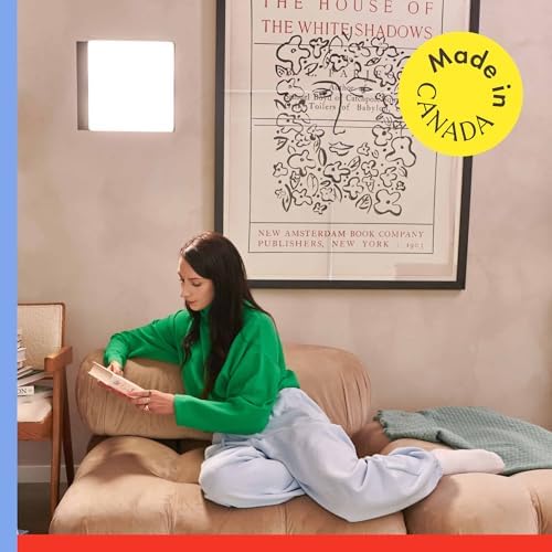 Northern Light Technologies LiteUp - 10000 Lux Light Therapy Lamp - Full Spectrum Lightbox Therapy Light for Natural Mood and Energy Enhancement, Wall Mountable Sunlight lamp, Black