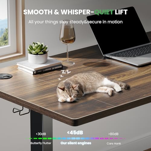 SIAGO 48 x 24 Inch Electric Standing Desk, 0.8 Inch Thick Tabletop