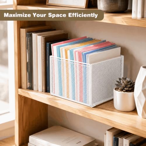 LEKETREE Mesh Hanging File Organizer Box for Desk, White 1 Pack