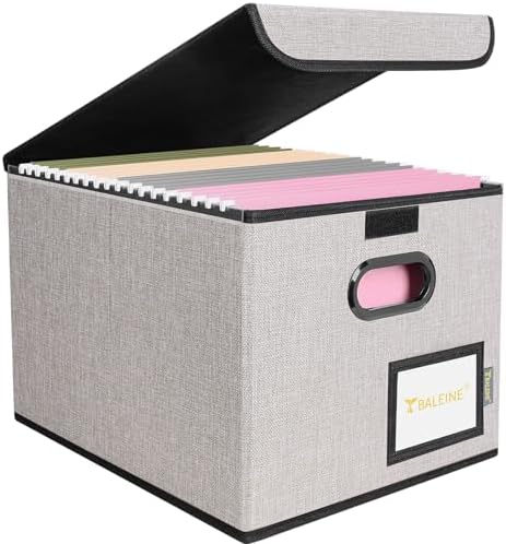 BALEINE File Organizer Box with Lid, Collapsible Hanging File Storage Box