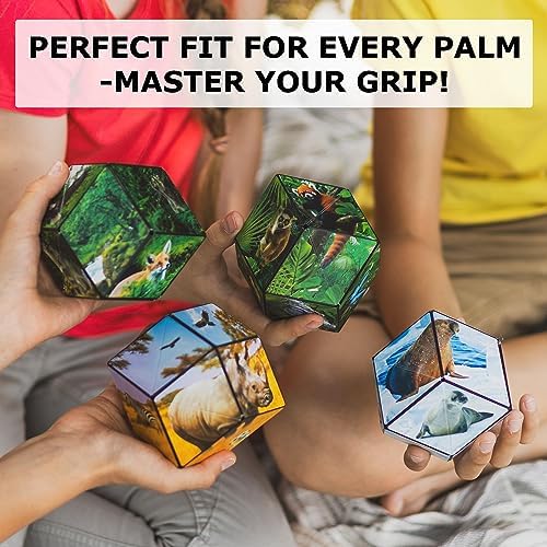 Shashibo DODECA Magnetic Puzzle Cube, Stress Relief Fidget Toy