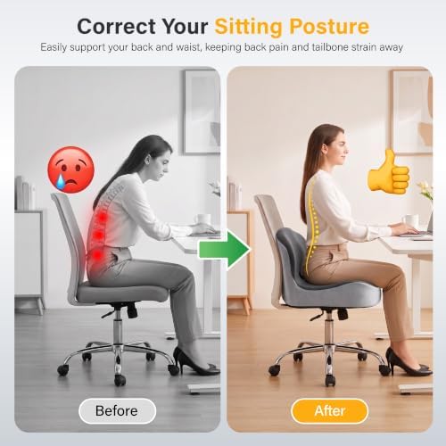 CHANCEE X-Large Ergonomic Seat Cushion with Lumbar Support (Grey)