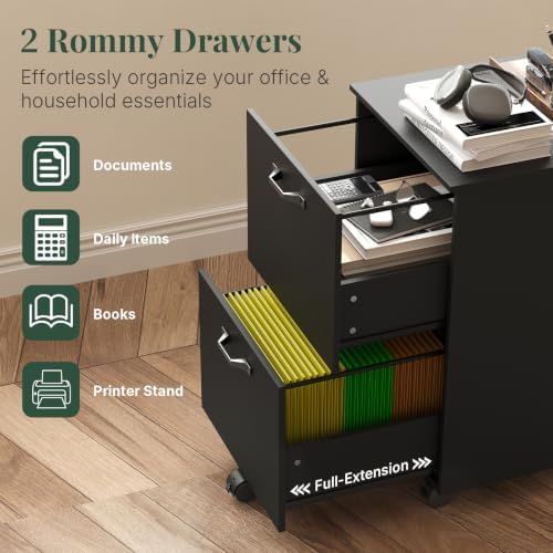 2 Drawer Rolling File Cabinet with Wood Printer Stand