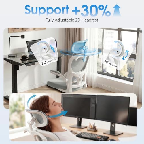 AreShark Ergonomic Office Chair, Desk Chair with Adjustable Lumbar Support