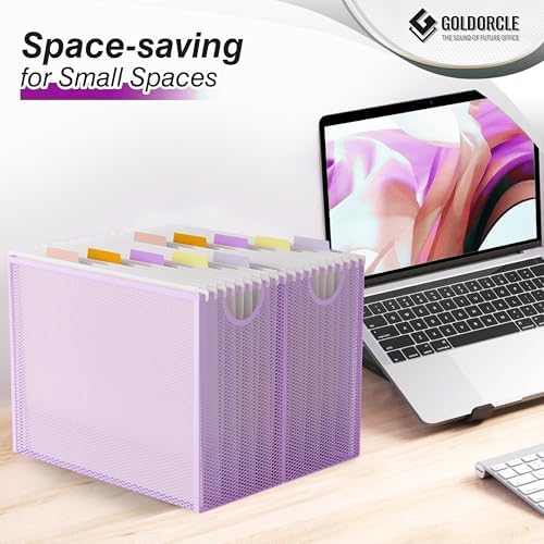 Letter-Size Hanging File Organizer (Purple, with 5 Grey Folders)