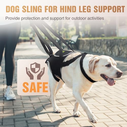Dog Lift Harness for Large Senior Dogs, Back Leg Walking Aid