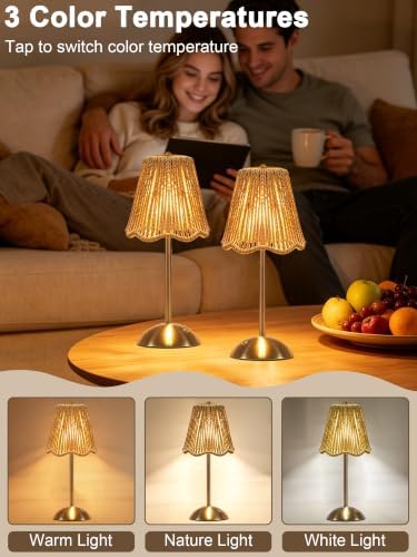 2 Pack Boho Rattan Lamp,Small Wicker Lamp,Rechargeable Led Desk Lamp