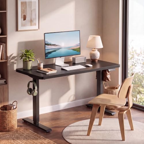 Hmimi 48'' ×24'' Height Adjustable Electric Standing Desk
