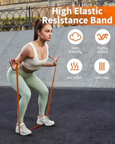 Fitense Resistance Bands Set - Pull Up Bands for Men Women, Exercise Bands Resistance with Door Anchor, Training Poster & Pouch for Body Stretching, Pull Up Assist
