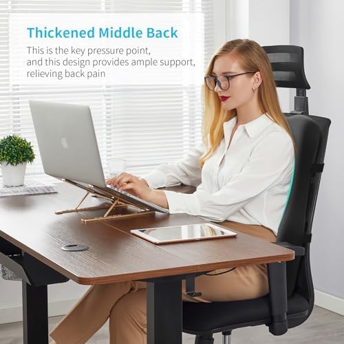 Lumbar Support Pillow for Office Chair, Back Cushion for Full Back Support