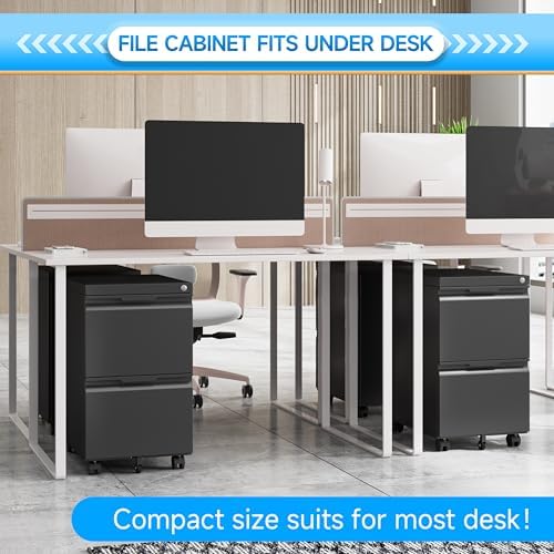 2 Drawer Mobile File Cabinet with Lock, Rolling File Cabinet with Wheels