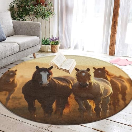 Large Machine Washable Circular Rugs, Home Decor Round Mat for Living Room Sofa Office Horse