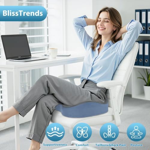 BlissTrends Extra Thick Seat Cushion for Office Chair & Car Seat, Grey&Blue