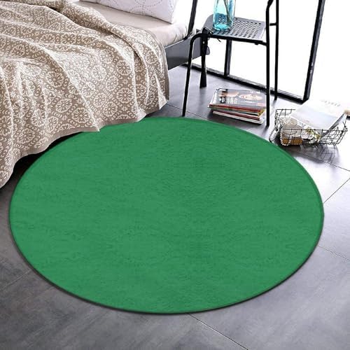 Large Round Area Rug Home Decor Modern Bathroom Rug Kitchen Office Circle Rug for Living Room Sofa Circle Cute Mat Green, 24inch