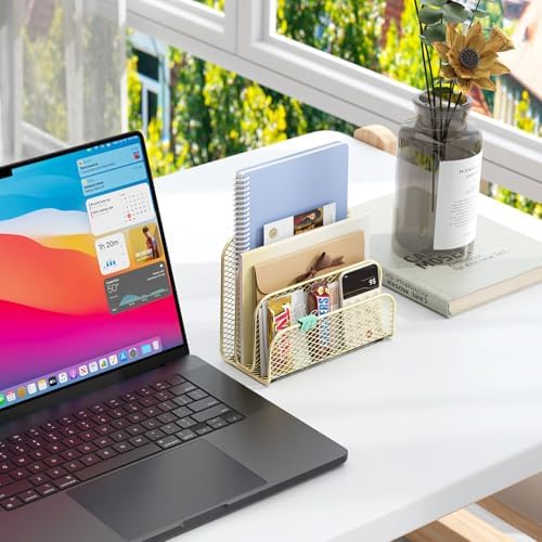 gianotter Mail Organizer Countertop