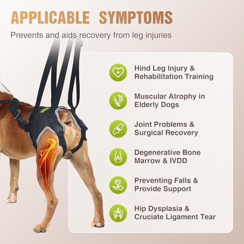 Dog Lift Harness for Large Senior Dogs, Back Leg Walking Aid