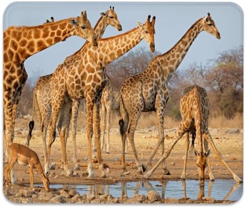 A Group of South African Giraffes Mouse Pad, Funny Wild Animals Desk Mat