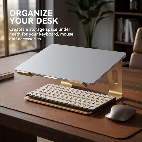 SOUNDANCE Laptop Stand, Aluminum Ergonomic Desk Riser, 10-15.6", Gold