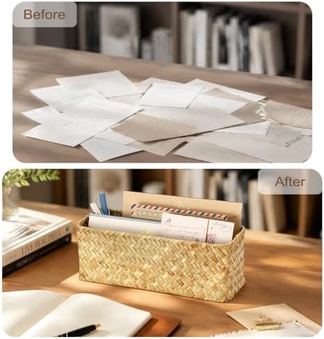 BTSKY 2 Slots Mail Organizer Countertop, Seagrass Mail Holder for Home